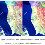 Figure 10: Mangrove areas were classified from Landsat images 2010 and 2014 for southern Yemen’s Red Sea coast