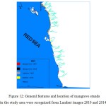 Figure 12: General features and location of mangrove stands in the study area were recognized from Landsat images 2010 and 2014.