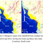 Figure 4: Mangrove areas were classified from Landsat images 2010 and 2014 for Ras-Al-Turfa and Khor Abu Saba Locations, Saudi coast.