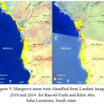 Figure 5: Mangrove areas were classified from Landsat images 2010 and 2014 for Ras-Al-Turfa and Khor Abu Saba Locations, Saudi coast.