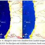 Figure 6: Mangrove areas were classified from Landsat images 2010 and 2014 for Ras-Qarn and Al-Midaya Locations, Saudi coast.