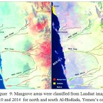 Figure 9: Mangrove areas were classified from Landsat images 2010 and 2014 for north and south Al-Hodiada, Yemen’s coast.
