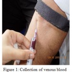 Figure 1: Collection of venous blood