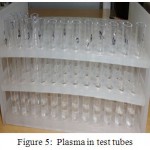 Figure 5: Plasma in test tubes