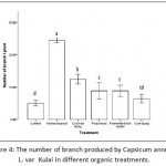 Figure 4: The number of branch produced by Capsicum annuum L. var Kulai in different organic treatments.