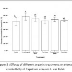 Figure 5 : Effects of different organic treatments on stomata conductivity of Capsicum annuum L. var Kulai.