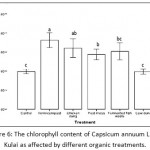 Figure 6: The chlorophyll content of Capsicum annuum L. var Kulai as affected by different organic treatments.