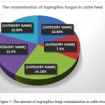 Figure 5: The amount of Aspergillus fungi contamination in cattle feed