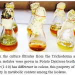 Figure 3: Variations in the culture filtrates from the Trichoderma asperellum isolates. Ten Trichoderma asperellum isolates were grown in Potato Dextrose broth for 10 hrs. The culture filtrate from each isolate (1-10) has difference in colour, this property of culture filtrate might be attributed to the diversity in metabolic content among the isolates.