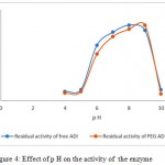 Figure 4: Effect of p H on the activity of the enzyme