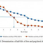Figure 6: Determination of half-life of free and pegylated ADI.