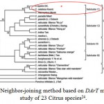 Figure 4: Neighbor-joining method based on DArT microarrays study of 23 Citrus species24.