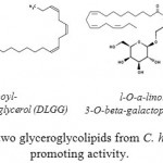 Figure 7: Structure of two glyceroglycolipids from C. hystrix with anti-tumor promoting activity.