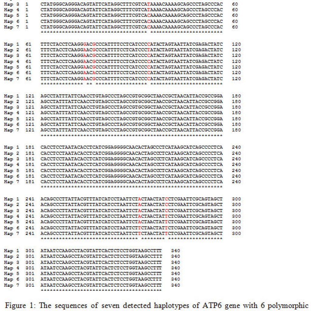 Genetic Biodiversity analysis of two Mitochondrial genes in Arabian and ...