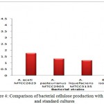 Figure 4: Comparison of bacterial cellulose production with isolate and standard cultures