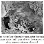 Figure 4: Surface of metal coupon after 4 months of exposure in the “red” type of ores. Loose areas with deep microcavities are observed