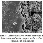 Figure 5: Clear boundary between destroyed and intact zones of metal coupon surface after 4 months of experiment