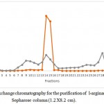 Figure 1: Ion exchange chromatography for the purification of l-arginase using DEAE-Sepharose column (1.2 X8.2 cm).