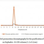 Figure 2: Gel permeation chromatography for the purification of l-arginase on Sephadex –G-100 column (1.2 x 8.2cm)
