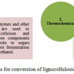 Figure 1: Processes for conversion of lignocellulosic biomass into biofuel