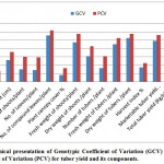 Figure 1: Graphical presentation of Genotypic Coefficient of Variation (GCV) and Phenotypic Coefficient of Variation (PCV) for tuber yield and its components.