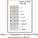 Figure 1.1: Optimization of amount of FNAB for activation of a PPµTP.