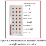 Figure 1.4: Optimization of amount of FNAB by sunlight mediated activation.