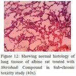 Figure 12: Showing normal histology of lung tissuse of albino rat treated with Shirishadi Compound in Sub-chronic toxicity study (40x).