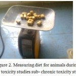 Figure 2. Measuring diet for animals during for toxicity studies sub- chronic toxicity study