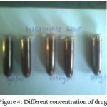 Figure 4: Different concentration of drugs
