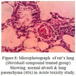 Figure 8: Microphotograph of rat’s lung (Shirishadi compound treated group) Showing normal alveoli & lung parenchyma (40x) in Acute toxicity study.