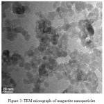 Figure 3: TEM micrograph of magnetite nanoparticles
