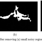 Figure 12: Binary image of coronal plane after removing (a) small noisy regions (b) Large noisy regions (c) all the noise