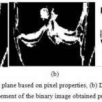Figure 8a Binary image of coronal plane based on pixel properties, (b) Dilated version of the binary image extracted previously (c) 1’s complement of the binary image obtained previously