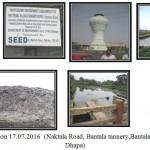 Figure 3: date of Collection 17.07.2016 (Naktala Road, Bantala tannery,Bantala sewage desposal cannel, Dhapa)