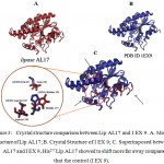 Figure 3: Crystal structure comparison between Lip AL17 and I EX 9. A. Model Structure of Lip AL17; B. Crystal Structure of I EX 9; C. Superimposed between Lip AL17 and I EX 9, His277 Lip AL17 showed to shift more far away compared to that the control (I EX 9).