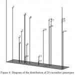 Figure 6: Diagram of the distribution of 20 cucumber genotypes in the principal coordinate analysis