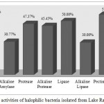 Figure 2: Hydrolytic activities of halophilic bacteria isolated from Lake Razazah, Karbala, Iraq