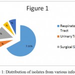 Figure 1: Distribution of isolates from various infections