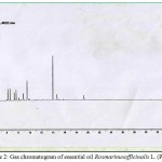 Figure 2: Gas chromatogram of essential oil Rosmarinusofficinalis L. (P55/B2)