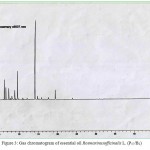Figure 3: Gas chromatogram of essential oil Rosmarinusofficinalis L. (P57/B2)