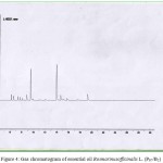 Figure 4: Gas chromatogram of essential oil Rosmarinusofficinalis L. (P67/B2)
