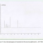 Figure 5: Gas chromatogram of essential oil Rosmarinusofficinalis L. (P17/B4)