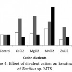 Figure 4: Effect of divalent cation on keratinase of Bacillus sp. MTS