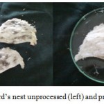 Figure 6: Edible bird’s nest unprocessed (left) and processed (right)