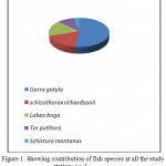 Figure 1: Showing contribution of fish species at all the study stations i.e. I.