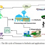 Figure 1: The life cycle of biomass to biofuels and applications 29