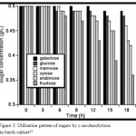Figure 2: Utilisation pattern of sugars by c.saccharolyticus in batch culture12