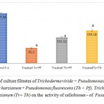 Figure 2: Effect of culture filtrates of Trichoderma viride + Pseudomonas fluorescens (Tv + Pf), Trichoderma harzianum + Pseudomonas fluorescens (Th + Pf), Trichoderma viride + Trichoderma harzianum (Tv+ Th) on the activity of cellobioses - of Fusarium oxysporum in vitro