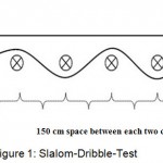 Figure 1: Slalom-Dribble-Test